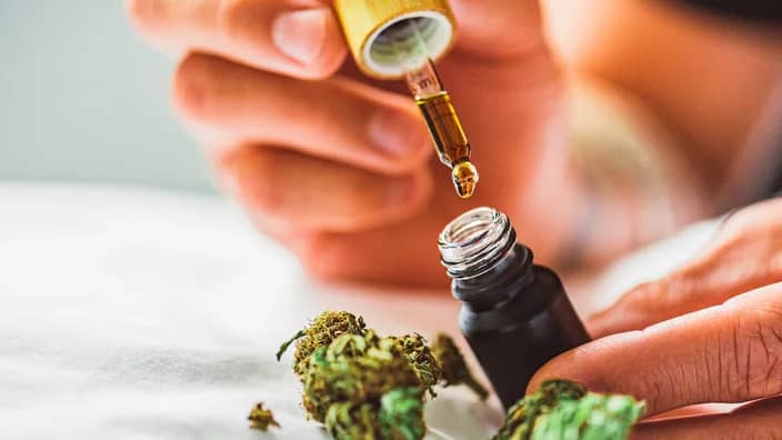 What Is CBD Oil?