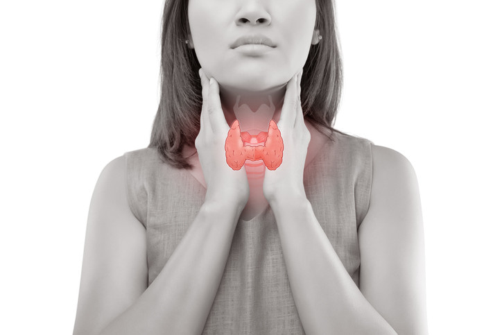 Thyroid Health and Levothyroxine: Ensuring Balance