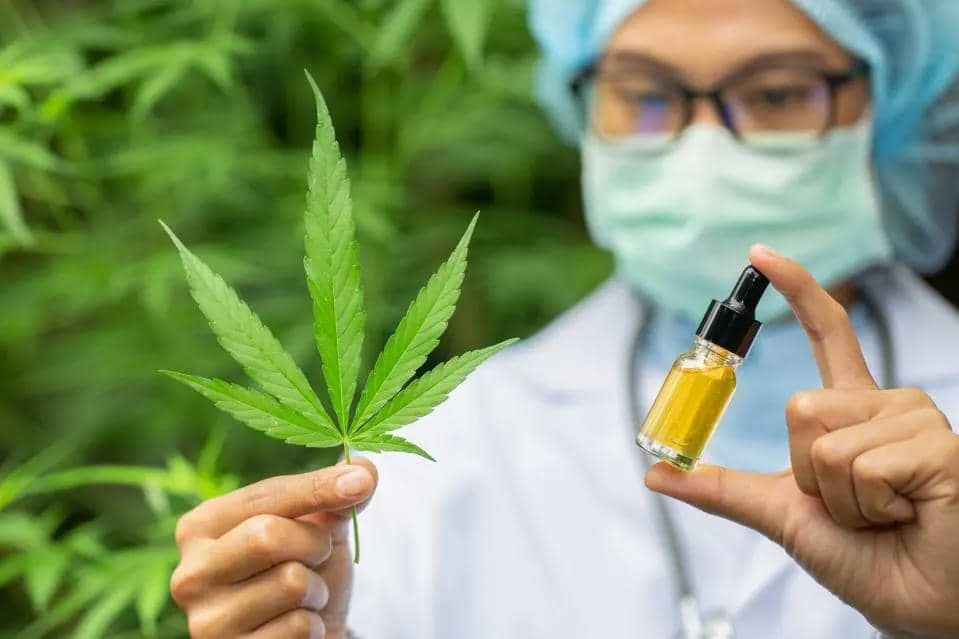 Scientific Evidence on CBD Gummies